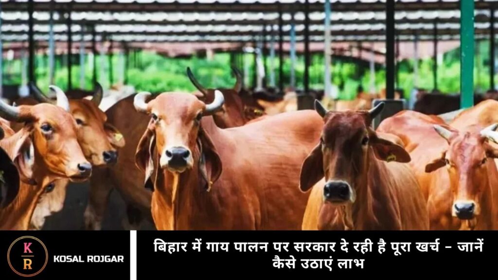 बिहार में गाय पालन पर सरकार दे रही है पूरा खर्च – जानें कैसे उठाएं लाभ